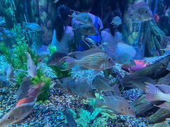 -珠海长隆海洋王国