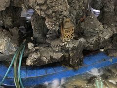 -白家寨子·山野白族菜(古城总店)