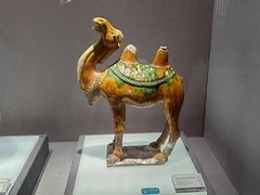 -景德镇中国陶瓷博物馆