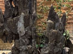 -徽州味道(南河佳苑店)