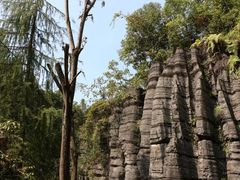 -梭布垭石林景区