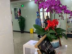 -茂菊口腔连锁(浦东南路店)