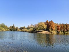 -瑶湖郊野森林公园