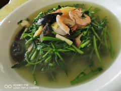 -江东鲈鱼馆(正江东)