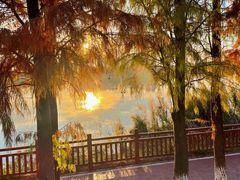 -鹤之洲湿地公园
