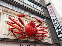 -蟹道乐(道顿堀本店)