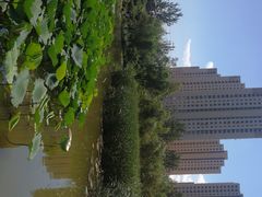 -前关湿地公园