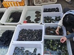 -中环花鸟鱼虫市场