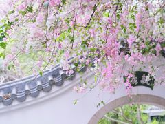 -深圳国际园林花卉博览园