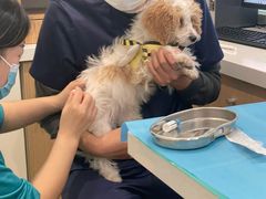 -美迦爱-牙专科·兔科·骨科诊疗中心(北苑店)