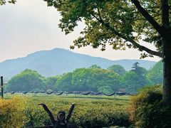 -中国茶叶博物馆(双峰馆区)