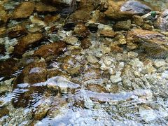 -秦岭终南山世界地质公园翠华山景区