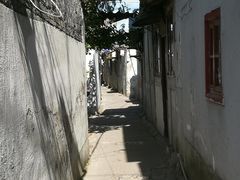 -周浦小上海步行街