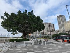 -海王冰室(皇朝店)
