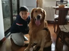 -瑞派宠物医院·24h·骨外科·皮肤科·全科宠物医疗转诊中心(沈阳浑南院)