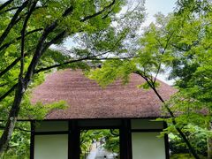 -常寂光寺