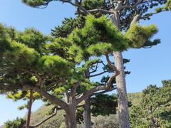 -妙峰山风景名胜区