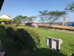 -碧海金沙