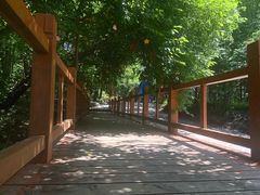 -帽儿山风景区