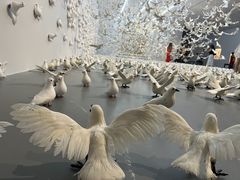 -上海宝龙美术馆