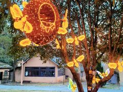 -崇阳三特浪口温泉