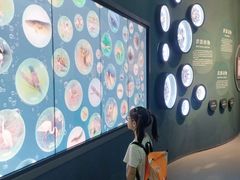 -中国湿地博物馆