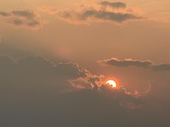 -长虫山生态公园风景林