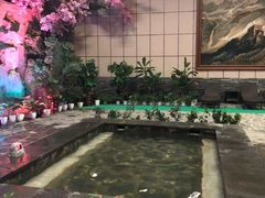 -金水鹤温泉国际酒店