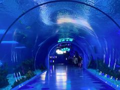 -上海海昌海洋公园
