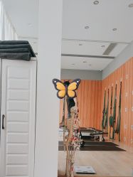 -一伽瑜伽·普拉提