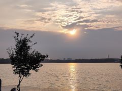 -丁香湖公园