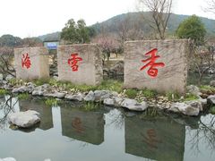 -香雪海