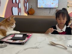 -喵园·猫主题咖啡厅·撸猫·猫咖(国贸店)