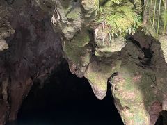 -怀托摩萤火虫洞