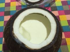 -志龙皇冠吃货椰子铺