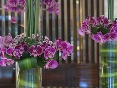 -厦门明发国际大酒店(会展中心环岛路店)