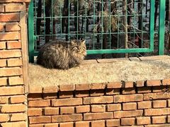 -北京西山国家森林公园