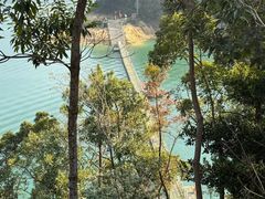 -广州市流溪河国家森林公园
