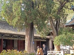-窦大夫祠