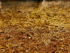 -碓臼峪自然风景区