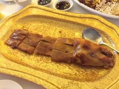 -镇发活海鲜(Clementi)