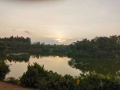 -艾溪湖湿地公园
