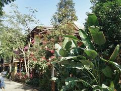 蕉叶依依-告庄西双景