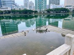 -白鹭洲公园