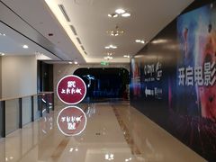 -SFC上影影城(港汇永华IMAX激光店)