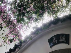 -深圳国际园林花卉博览园