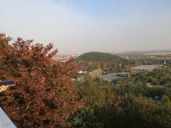 -上海佘山国家森林公园西佘山园