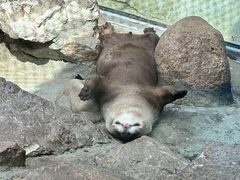 -西霞口神雕山野生动物世界