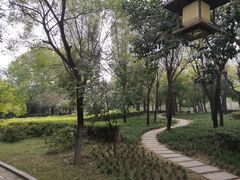 -木塔寺遗址生态公园