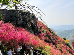 -木兰云雾山